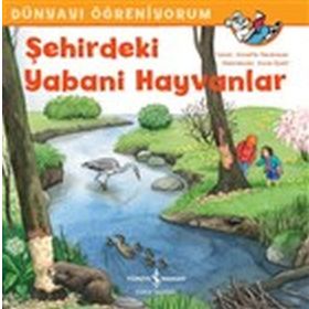 Şehirdeki Yabani Hayvanlar - Dünyayı Öğreniyorum - Annette Neubauer