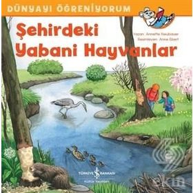 Şehirdeki Yabani Hayvanlar - Dünyayı Öğreniyorum - Annette Neubauer