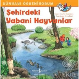 Şehirdeki Yabani Hayvanlar - Dünyayı Öğreniyorum - Annette Neubauer