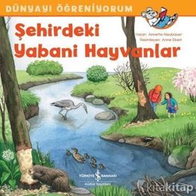 Şehirdeki Yabani Hayvanlar - Dünyayı Öğreniyorum - Annette Neubauer
