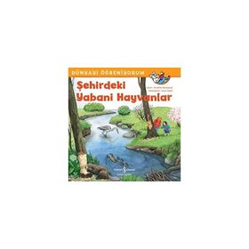 Şehirdeki Yabani Hayvanlar - Dünyayı Öğreniyorum - Annette Neubauer