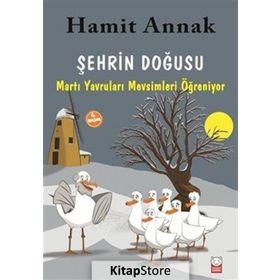 Şehrin Doğusu - Hamit Annak