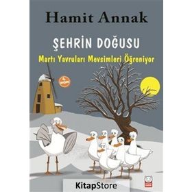 Şehrin Doğusu - Hamit Annak