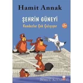 Şehrin Güneyi Kunduzlar Çok Çalışıyor - Hamit Annak