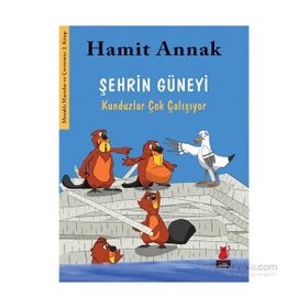 Şehrin Güneyi Kunduzlar Çok Çalışıyor - Hamit Annak
