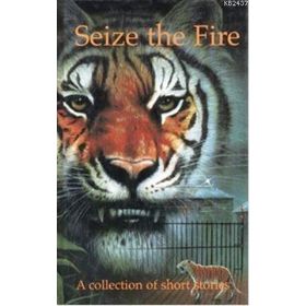SEIZE THE FIRE A COLLECTION OF SHORT STORIES - PIPPA DORAN