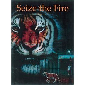 SEIZE THE FIRE A COLLECTION OF SHORT STORIES - PIPPA DORAN