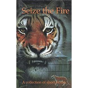 SEIZE THE FIRE A COLLECTION OF SHORT STORIES - PIPPA DORAN