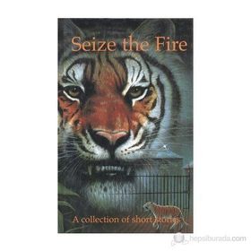 SEIZE THE FIRE A COLLECTION OF SHORT STORIES - PIPPA DORAN