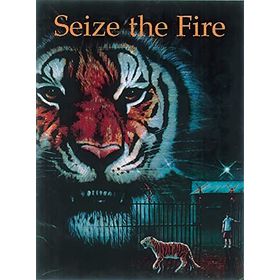 SEIZE THE FIRE A COLLECTION OF SHORT STORIES - PIPPA DORAN