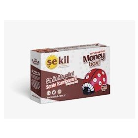 Şekil Kil Seti Uğur Böceği Kumbara