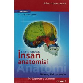 Şekil ve Tablolarla İnsan Anatomisi Damar, Sinir ve Kaslar - Johannes W. Rohen Elke Lütjen-Drecoll