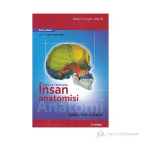 Şekil ve Tablolarla İnsan Anatomisi Damar, Sinir ve Kaslar - Johannes W. Rohen Elke Lütjen-Drecoll