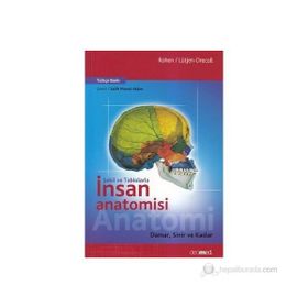 Şekil ve Tablolarla İnsan Anatomisi Damar, Sinir ve Kaslar - Johannes W. Rohen Elke Lütjen-Drecoll