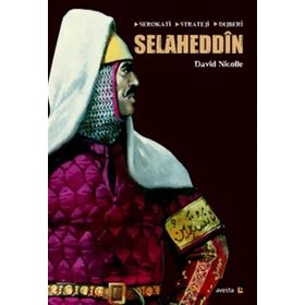 Selaheddin Serokati, Stratej, Dijberi - David Nicolle