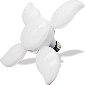 Seldur 36 W E27 Beyaz Işık Mango Led Ampul