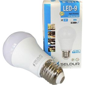 Seldur 9W E 27 Led Ampul