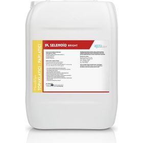 Selenoid Bright 10 lt Havuz Topaklayıcı