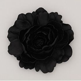 Selim Lotus Siyah Dekoratif Çiçek
