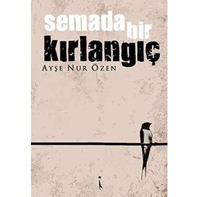 Semada Bir Kırlangıç - Ayşe Nur Özen