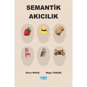 SEMANTIK AKICILIK - İLKNUR MAVIŞ;MÜGE TUNÇER