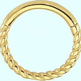 Sembol Gold Burgu 14 Ayar Altın Halka Piercing