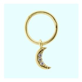 Sembol Gold Taşlı Ay 14 Ayar Altın Halka Piercing