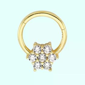 Sembol Gold Tektaş Kartanesi 14 Ayar Altın Halka Piercing