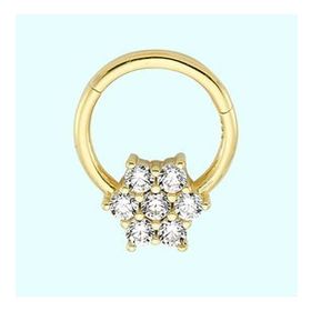 Sembol Gold Tektaş Kartanesi 14 Ayar Altın Halka Piercing