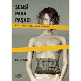 Şemşi Pasa Paşazı - Şebnem Aybar