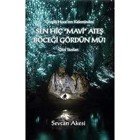 Sen Hiç Mavi Ateş Böceği Gördün mü - Sevcan Akesi