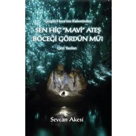 Sen Hiç Mavi Ateş Böceği Gördün mü - Sevcan Akesi