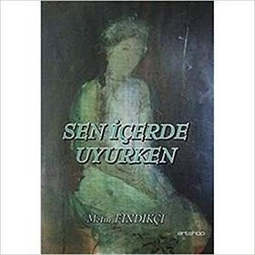 SEN İÇERDE UYURKEN - METIN FINDIKÇI