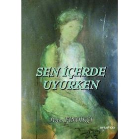 SEN İÇERDE UYURKEN - METIN FINDIKÇI