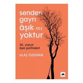 Senden Gayrı Aşık Mı Yoktur 20. Yüzyıl Aşık Portreleri - Ulaş Özdemir