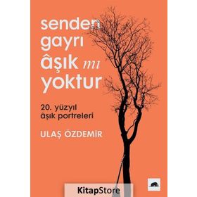 Senden Gayrı Aşık mı Yoktur - Ulaş Özdemir