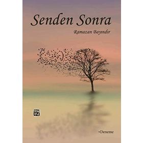 Senden Sonra - Ramazan Bayındır