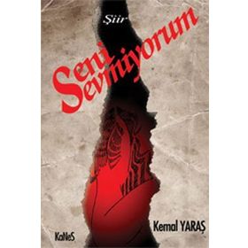 SENI SEVMIYORUM - JULIAN BARNES