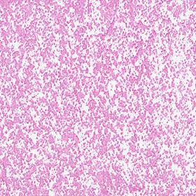 Sennelier Cobalt Violet Light Hue 095 Yağlı Pastel