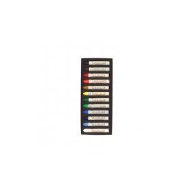 Sennelier Extra Soft Introductory 12'li Tam Boy Pastel Boya