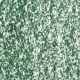 Sennelier Sap Green 087 Yağlı Pastel