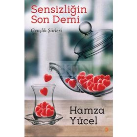 Sensizliğin Son Demi - Hamza Yücel
