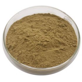 Sepe Natural Enginar Ekstresi 50 gr Toz