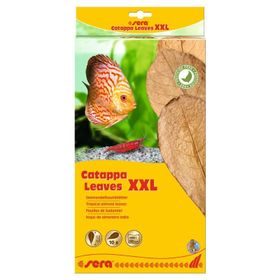 Sera 32 cm XXL Catappa Yaprağı
