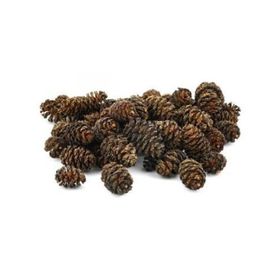 Sera 50 Adet Alder Cones Kızılağaç Kozalağı Balık Yemi