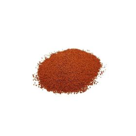 Sera Discus Granulat 100 gr Açık Balık Yemi