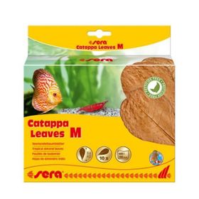 Sera M 18 cm 10'lu Paket Catappa Yaprağı