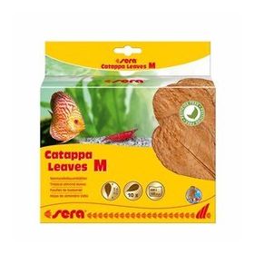 Sera M 18 cm 10'lu Paket Catappa Yaprağı