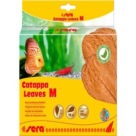 Sera M 18 cm 10'lu Paket Catappa Yaprağı