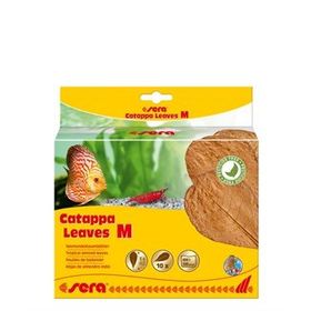 Sera M 18 cm 10'lu Paket Catappa Yaprağı